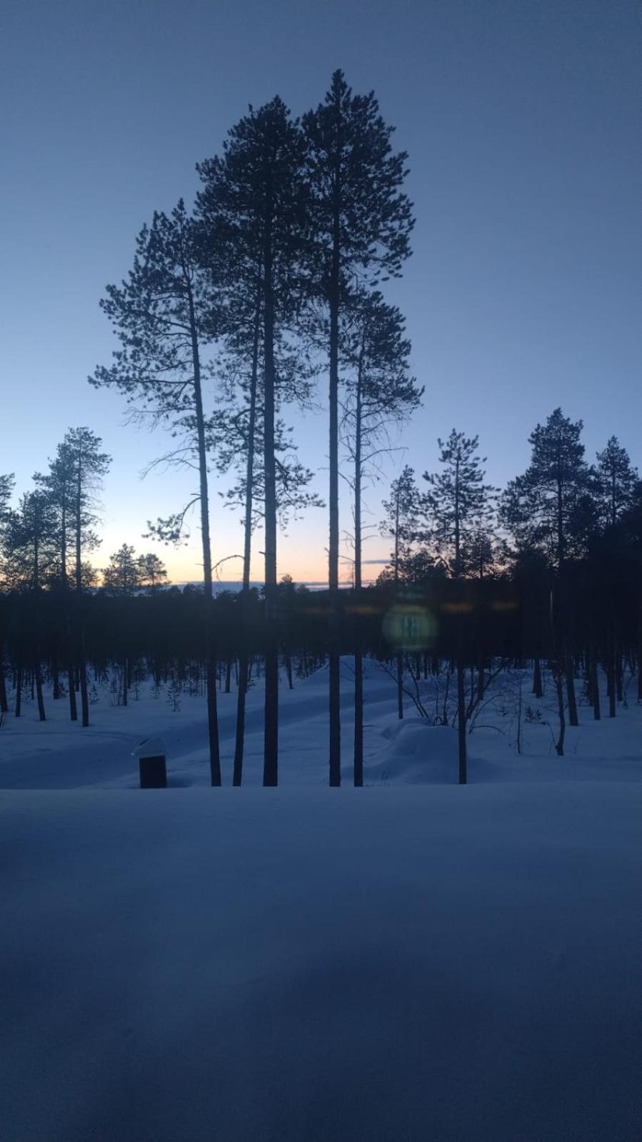 Villa Lusma Inari Zewnętrze zdjęcie